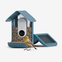 MoMA Design Store Bird Buddy Smart Feeder with Solar Roof
