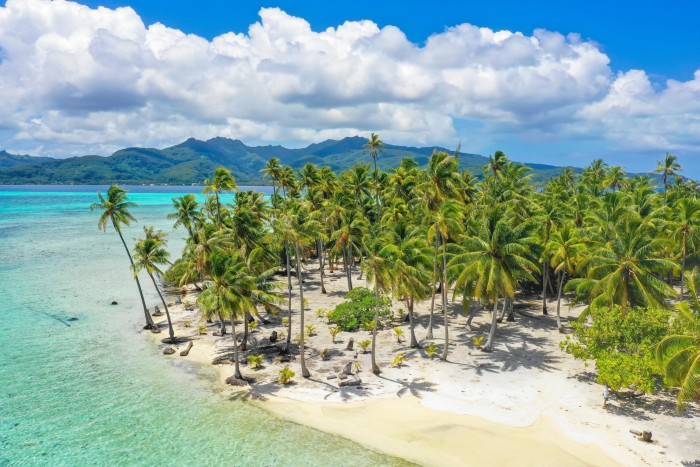 An sandy piece of land, covered in trees, juts out into clear turquoise sea