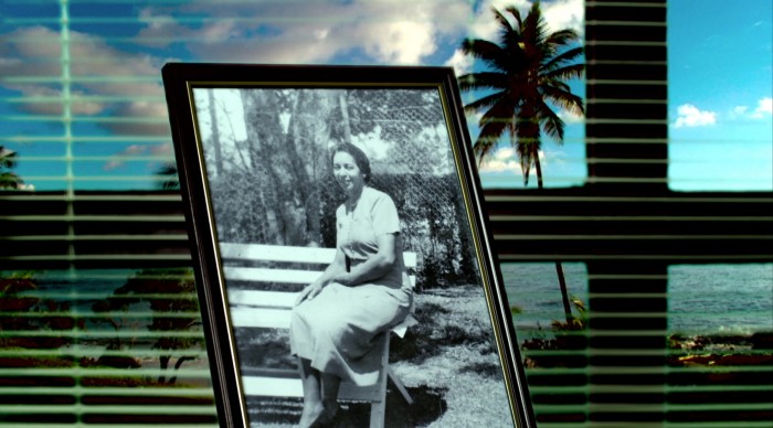 A framed picture of a woman in a 1960s-style dress sitting on a bench overlooks a tropical landscape beyond a window