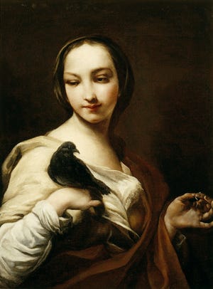 Giuseppe Maria Crespi (Italian, 1665–1747), Girl with Black Dove, 1715–1730, oil on canvas, Lent by The Samuel H. Kress Foundation, Columbia Museum of Art, Columbia, South Carolina, CMA 1962.24