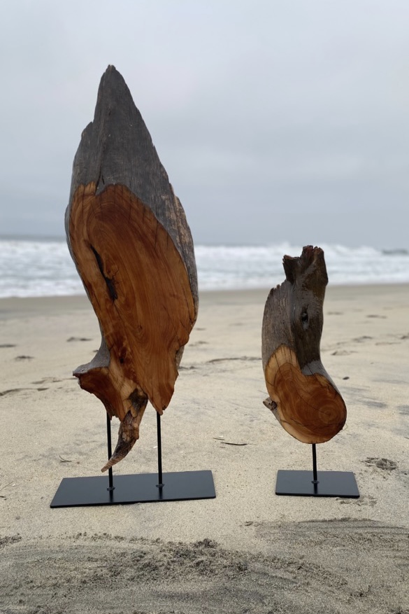 Art pieces by Dustin McLaughlin sit on the beach, location and date unspecified | Photo courtesy of Dustin McLaughlin, St. George News