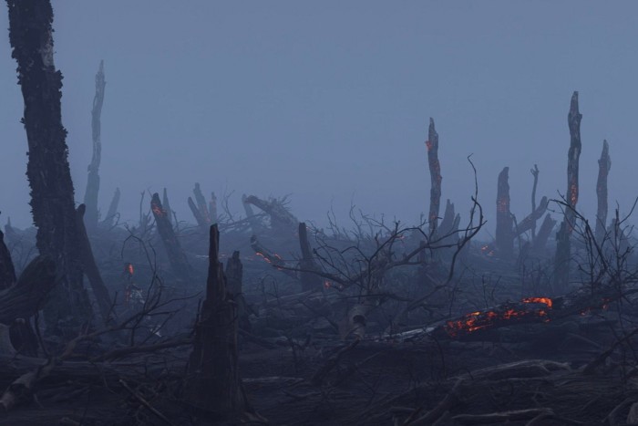 A bleak landscape of burnt trees, as if destroyed by a forest fire or carpet bombing