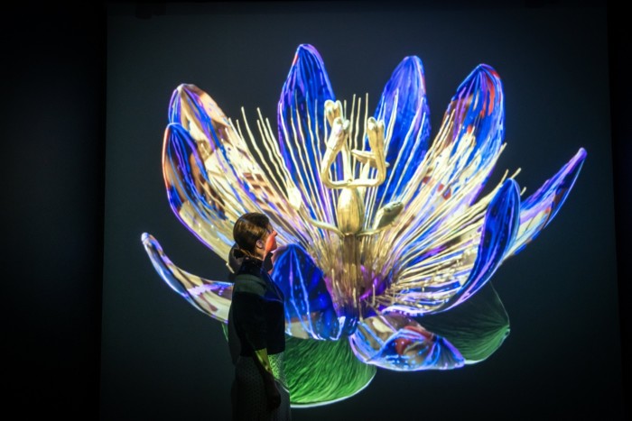 A female visitor stands in front of a projection of a huge flower with unfurling blue petals 