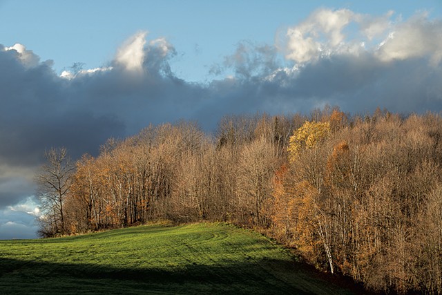 Late Autumn Hillside, Glover, 2023 - COURTESY