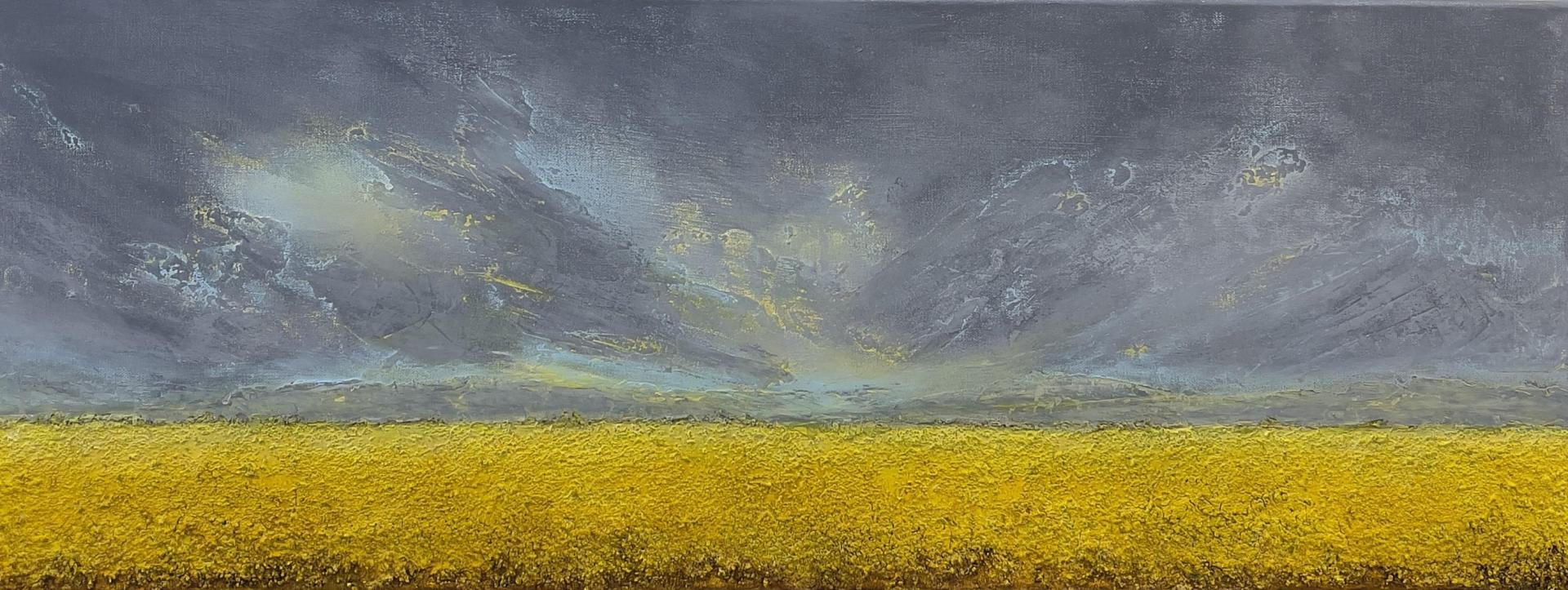 <em>Fields of Gold</em> by Jo Dounis