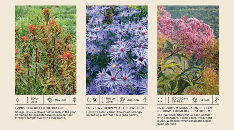 Species selection is offered as a legible recipe for achieving a naturalistic planting design. 