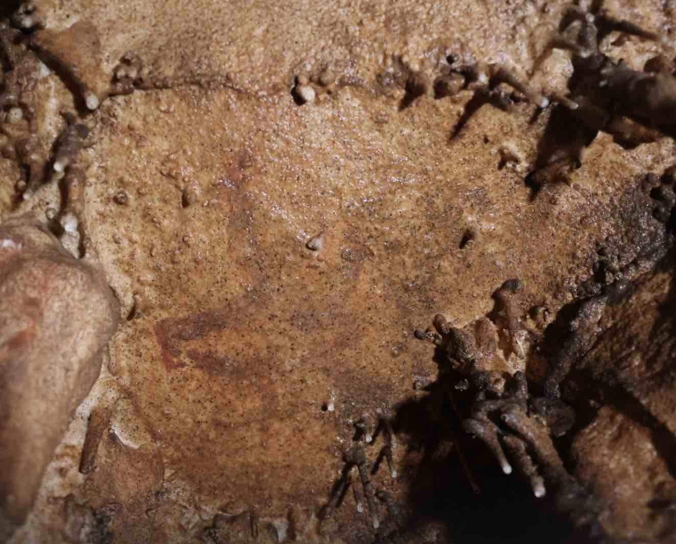 Palaeolithic art