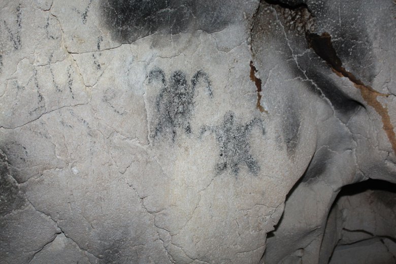An image of a beige cave wall shows cave art. On the left, black faded lines are shown. On the right, there are two black silhouettes of turtles.