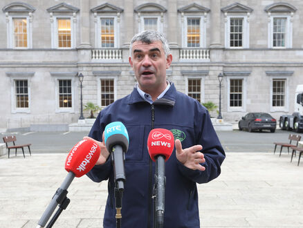 Limerick TD Richard O'Donoghue is one of two serving TDs in the new party. File Picture: Sasko Lazarov / RollingNews.ie