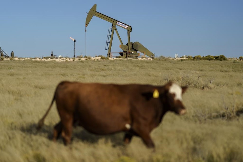 FILE - A cow walks through a field as an oil pumpjack and a flare burning off methane and other hydrocarbons in the background in the Permian Basin in Jal, N.M.,on Oct. 14, 2021. European Union negotiators reached a deal on Wednesday, Nov. 15, 2023, to reduce highly polluting methane gas emissions from the energy sector across the 27-nation bloc.One of the biggest causes of climate change is methane gas emissions, second only to carbon dioxide, and the gas also causes serious health problems. Most emissions come from the energy, agriculture and waste sectors. (AP Photo/David Goldman, File)