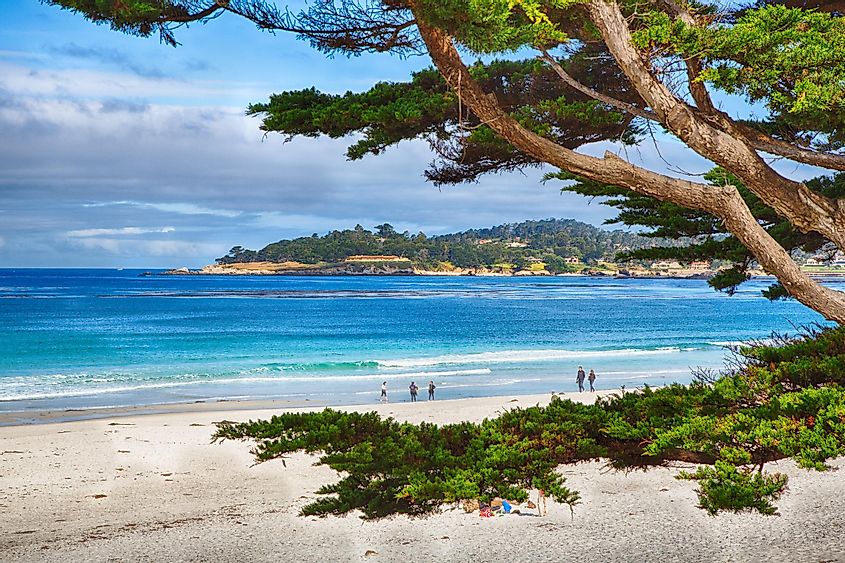 The gorgeous beach at Carmel-by-the-Sea.