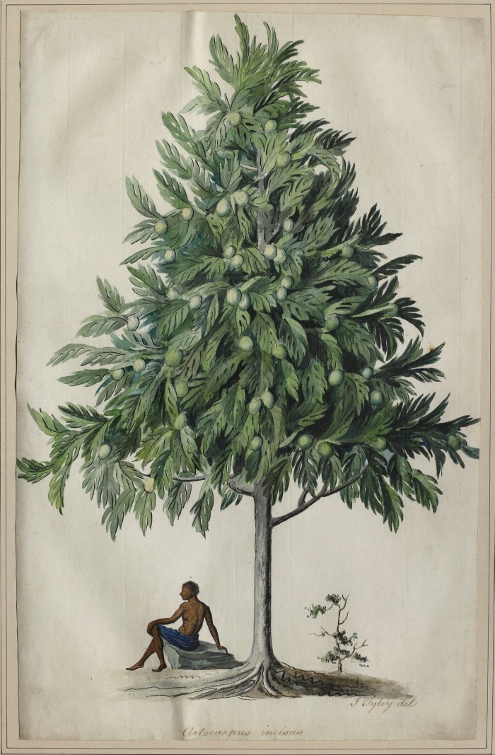 Drawing of a tree with a black man sitting under it