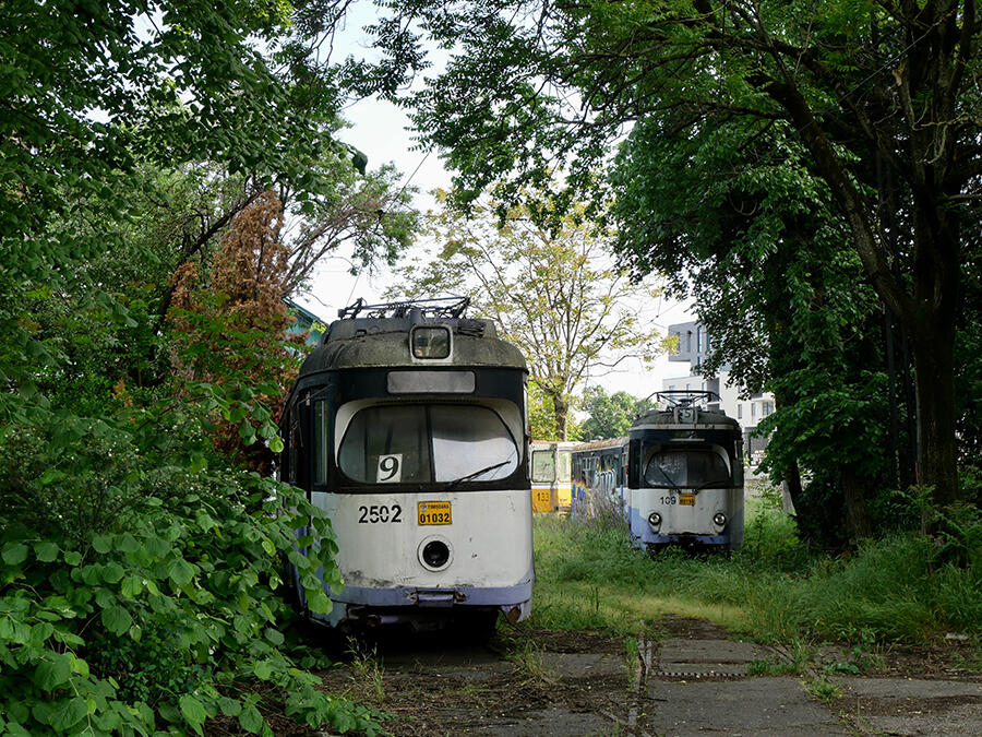 Two old trams in the middle of the forest.