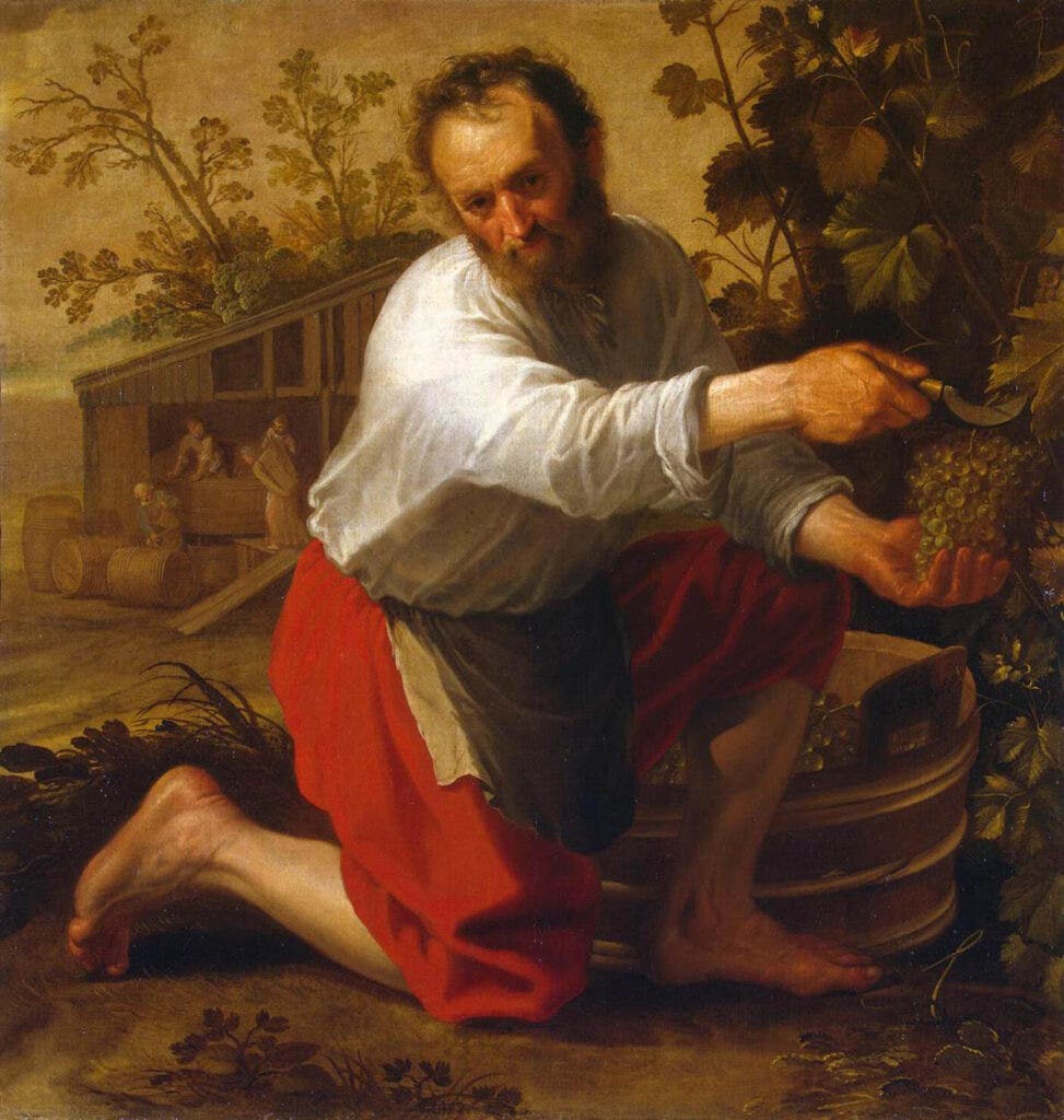 Jacob Gerritsz. Cuyp - Wine Grower - 1628