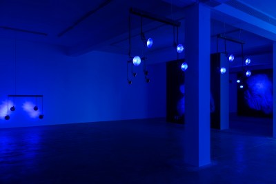 A gallery space lit deep blue.