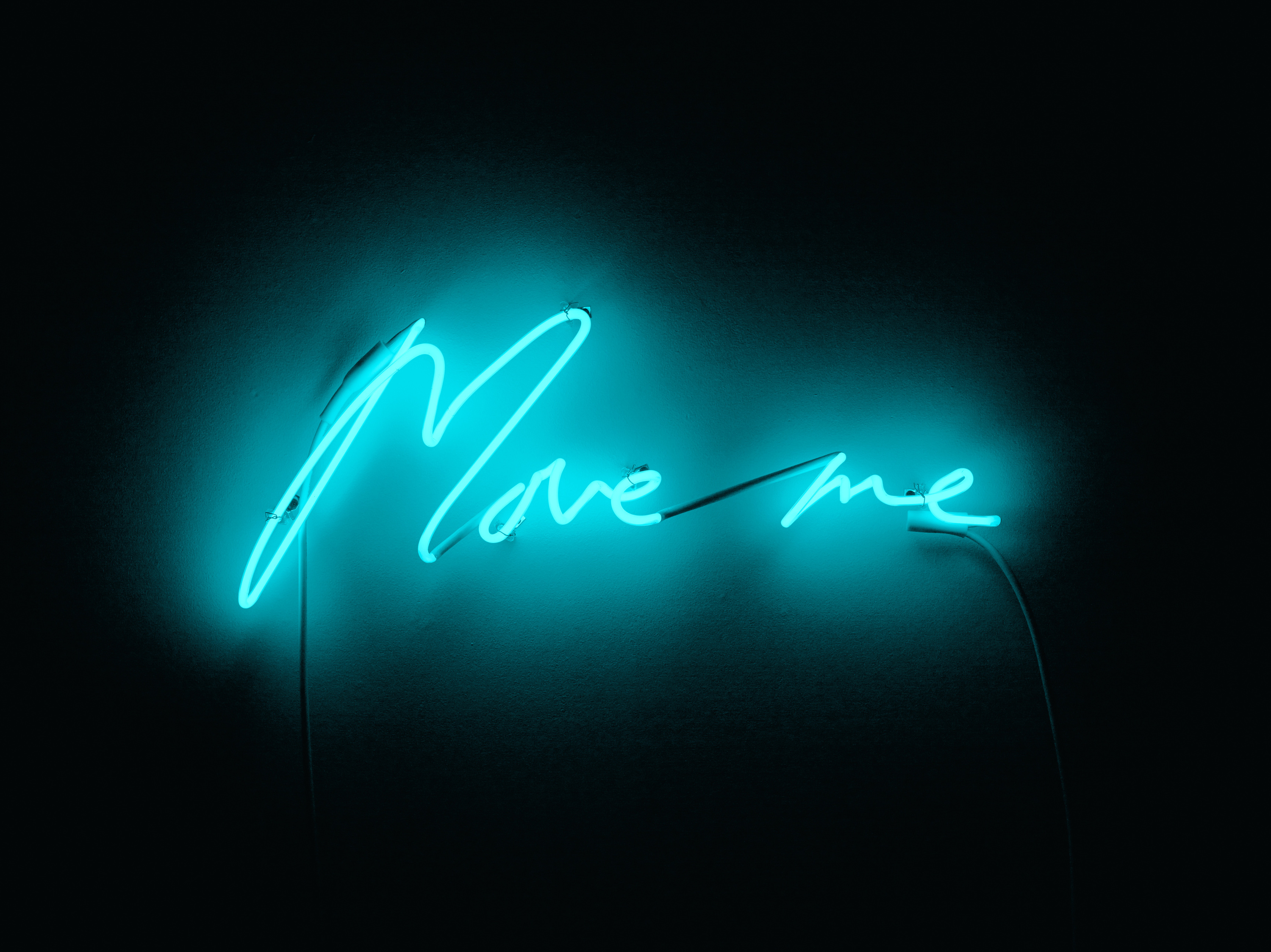 Move me by Tracey Emin (2015)