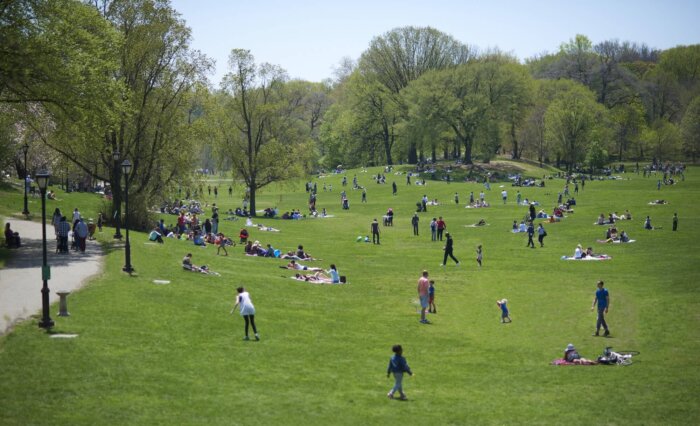 prospect park