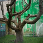 The Banksy artwork which has been defaced with white paint after it appeared over the weekend on the side of a residential building on Hornsey Road in Finsbury Park, London. Bright green paint has been sprayed on the building, in front of a cut-back tree, creating the impression of being its foliage. A stencil of a person holding a pressure hose has been sketched onto the building as well. The vivid paint colour matches that used by Islington Council for street signs in the area. Picture date: Wednesday March 20, 2024. (Photo by Victoria Jones/PA Images via Getty Images)