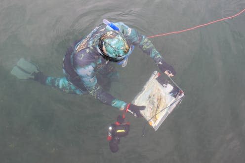 <span class="caption">Artists were invited to draw and create artworks while snorkelling in Scottish waters</span> <span class="attribution"><span class="source">Louise Scammell</span>, <a class="link " href="http://creativecommons.org/licenses/by-nd/4.0/" rel="nofollow noopener" target="_blank" data-ylk="slk:CC BY-ND;elm:context_link;itc:0;sec:content-canvas">CC BY-ND</a></span>