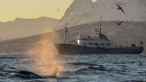 This 7-Day Luxury Yacht Is An Artists' Retreat In Greenland — With Kayaking & Fishing