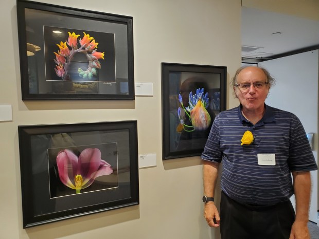 Artist Paul Shilling shows his botanical photographs. (Ashley Mackin-Solomon)