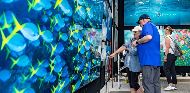 Rebecca Marchant and David Marchant check out GUG underwater photography at the Des Moines Arts Festival, Friday, June 23, 2023.