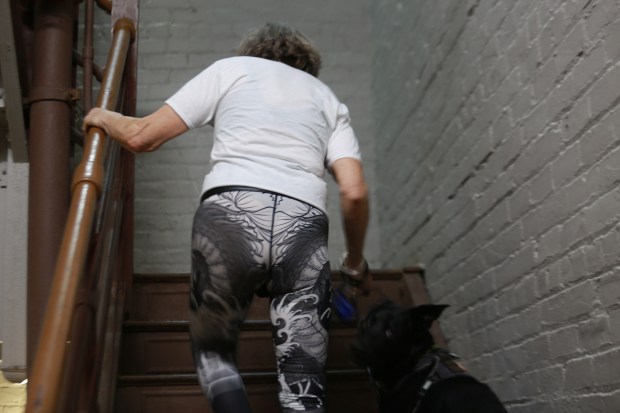 A woman walks up stairs with her dog.