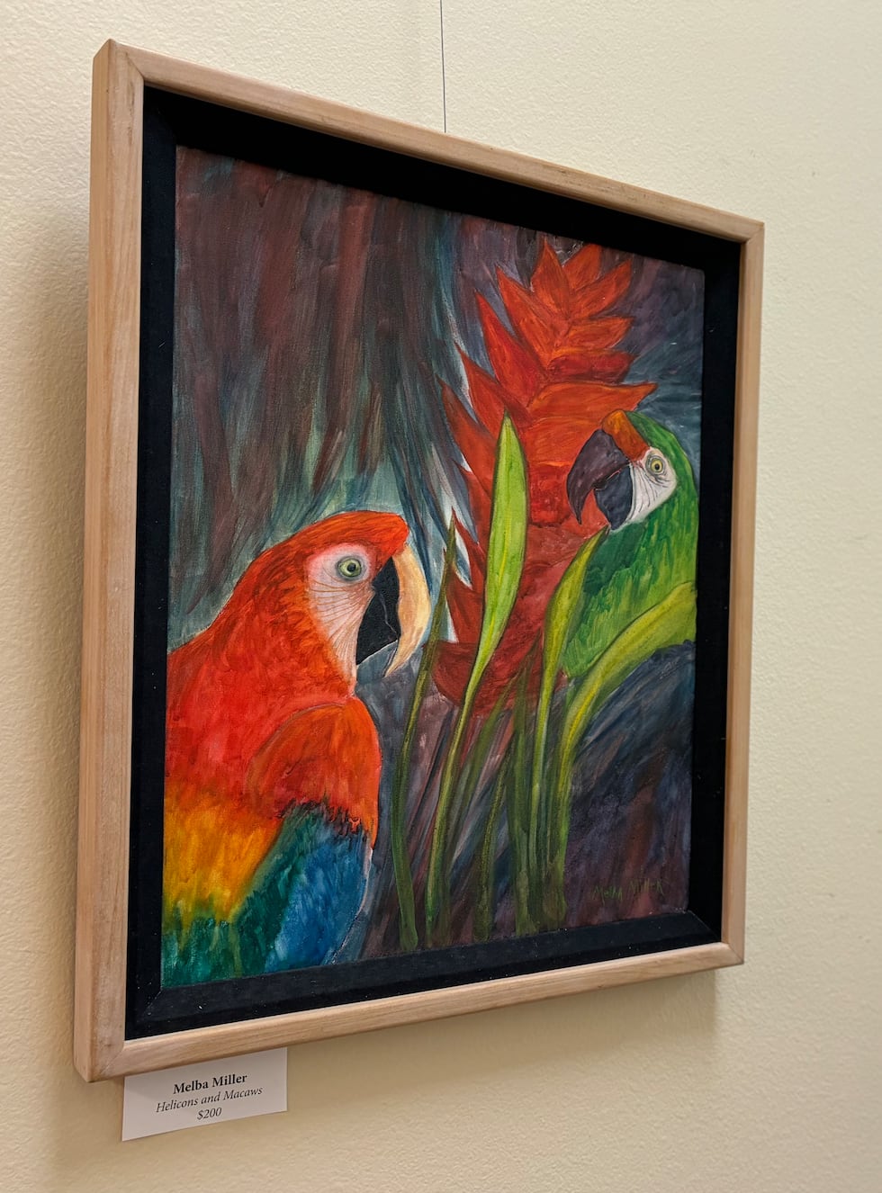 Helicons and Macaws by Melba Miller