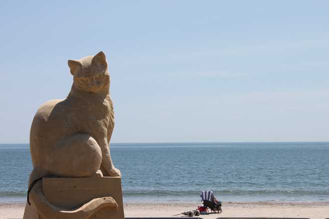 revere beach sand sculpting festival 20 years