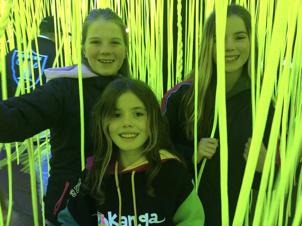 The UV Spaghetti was a popular installation at this year's Festival of W.