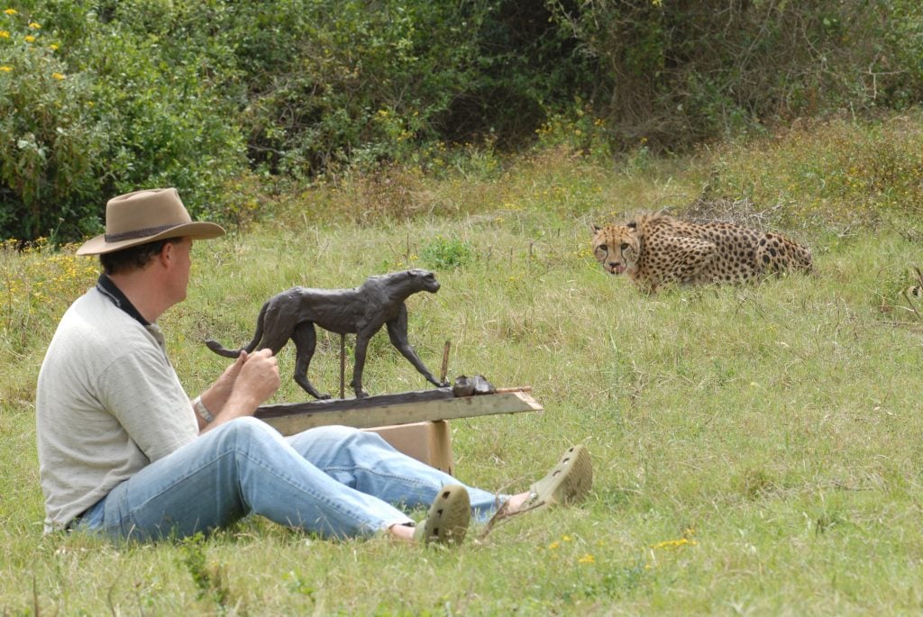 Artist Bruce Little wearing jeans, long sleeve grey tee, and hat sitting in a grassy knoll working on a small-scale cheetah sculpture and in the background is a live cheetah.