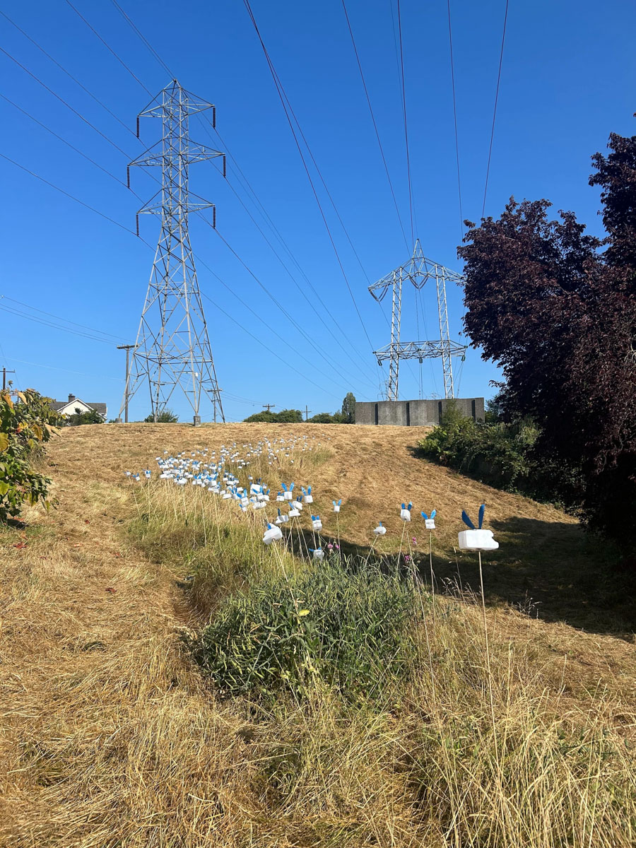 A dry grassy field is seen under a clear blue sky, with tall electrical transmission towers and power lines dominating the background. In the foreground, a row of white, bunny-shaped objects with blue ears, made from repurposed materials, is displayed on thin poles stuck into the ground, as an art installation.