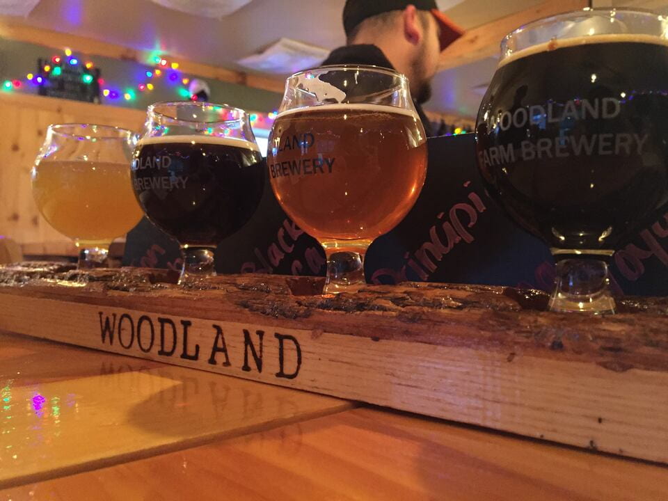 A recent study from whiskey brand Flask & Barrel pinpoints Ohio’s favorite drinking songs and artists. Credit: Allie Healy Howard via TNS [Original caption: A flight of beer at Woodland Farm Brewery in Marcy.]